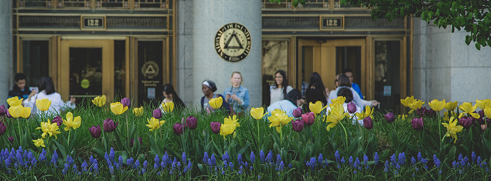 tulips in front of National Louis University in Chicago