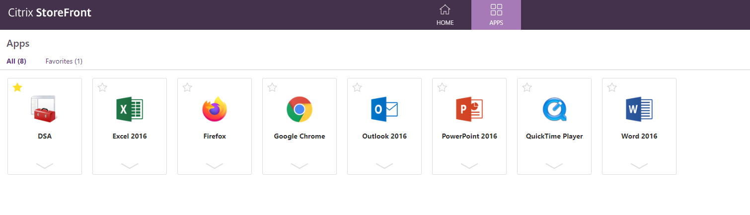 Screen shot of the Citrix applications screen shot